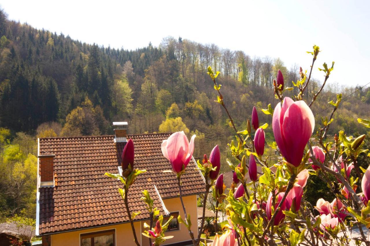 Gasthof Na Kopitarjevi