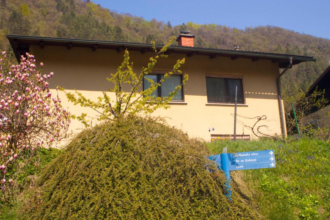Na Kopitarjevi 2* Laško