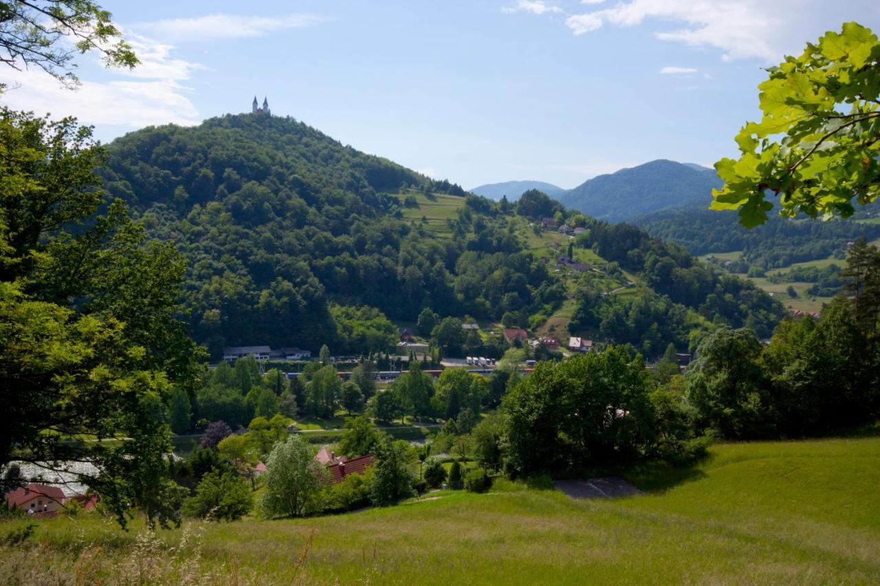 Na Kopitarjevi 2* Laško